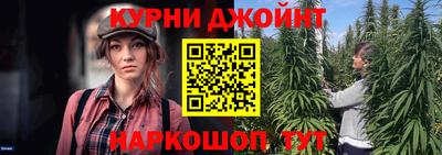 мдпв Тула