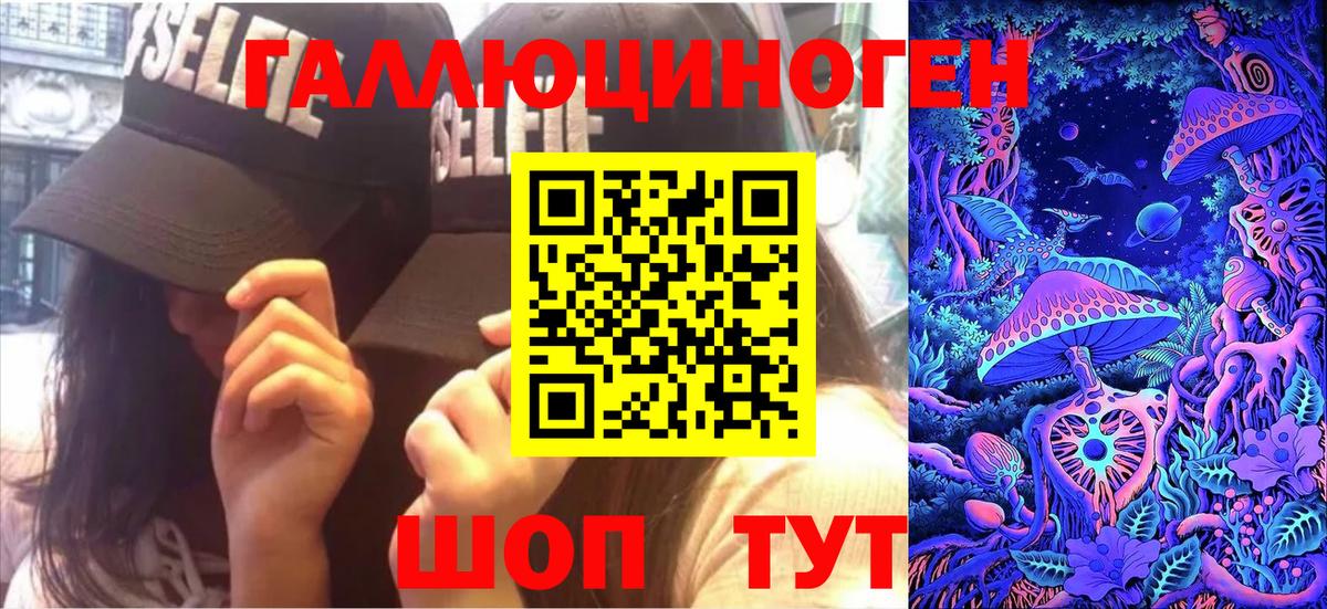 Галлюциногенные грибы Psilocybine cubensis Усть-Кут