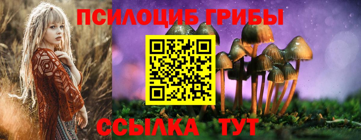 Псилоцибиновые грибы Cubensis  Усть-Кут 